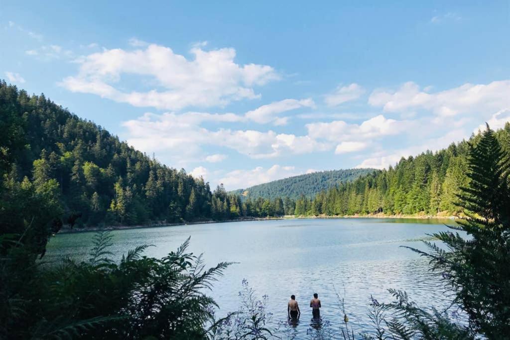 Lullaby House - Large, Full Comfort 5 Star Chalet House In The Vosges Ramonchamp Dış mekan fotoğraf